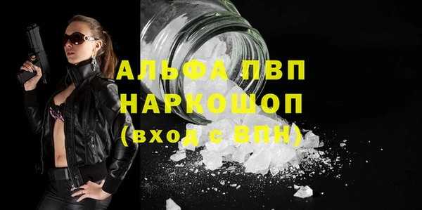 стафф Бородино