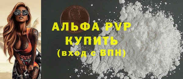 стафф Бородино