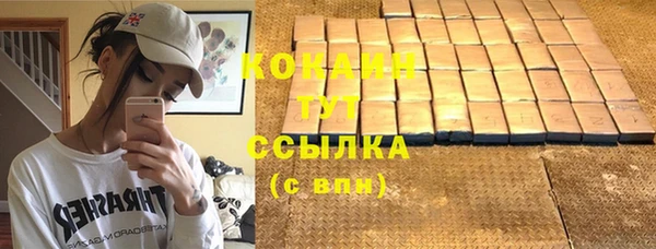 стафф Бородино