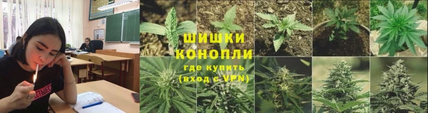 стафф Бородино