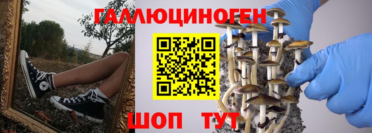 Галлюциногенные грибы ЛСД Верхний Уфалей